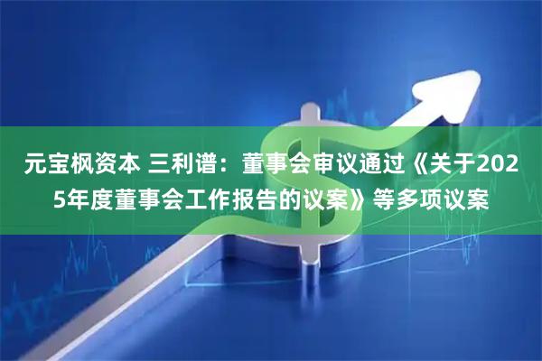 元宝枫资本 三利谱：董事会审议通过《关于2025年度董事会工作报告的议案》等多项议案