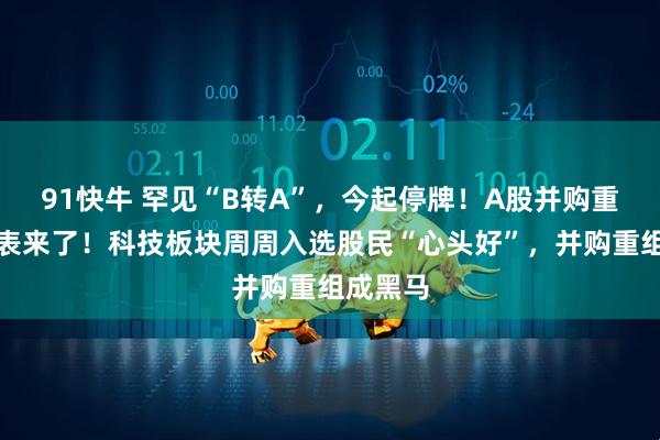91快牛 罕见“B转A”，今起停牌！A股并购重组进度表来了！科技板块周周入选股民“心头好”，并购重组成黑马